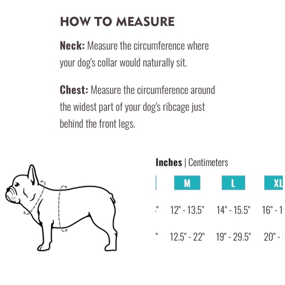 Frenchie Duo Reversible dog harness, Size Medium & Cooling Bandana, EUC - Picture 9 of 11